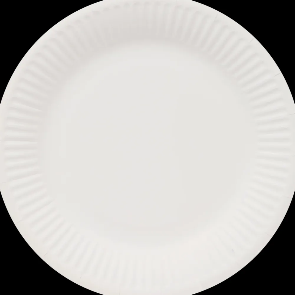 Articles De Fête< Assiettes en carton | Action FR