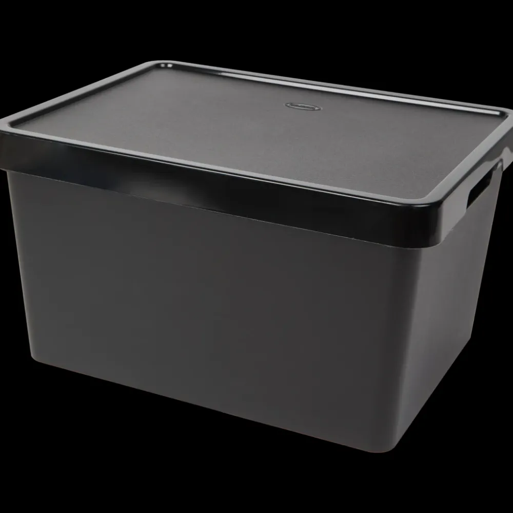 Tous Les Articles Habitat|Accessoires Pour La Maison< Boîte de rangement Tontarelli Maya | Action FR