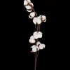 Tous Les Articles Habitat|Plantes Et Fleurs Artificielles< Branche de coton | Action FR