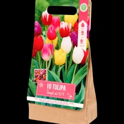 Tous Les Articles Jardin|Semis Et Plantes< Bulbes de tulipe | Action FR