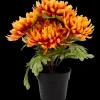 Tous Les Articles Habitat|Plantes Et Fleurs Artificielles< Chrysanthème en pot Excellent Flowers | Action FR