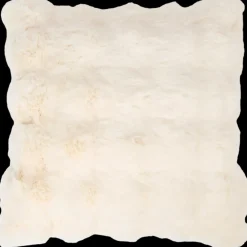 Oreillers< Housse de coussin Maxime 45 x 45 cm | Action FR