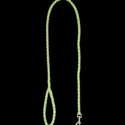 Tous Les Articles Animaux Domestiques|Accessoires Pour Animaux Domestiques< Laisse pour chien | Action FR