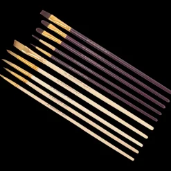 Peindre<Van Bleiswijck Lot de pinceaux | Action FR