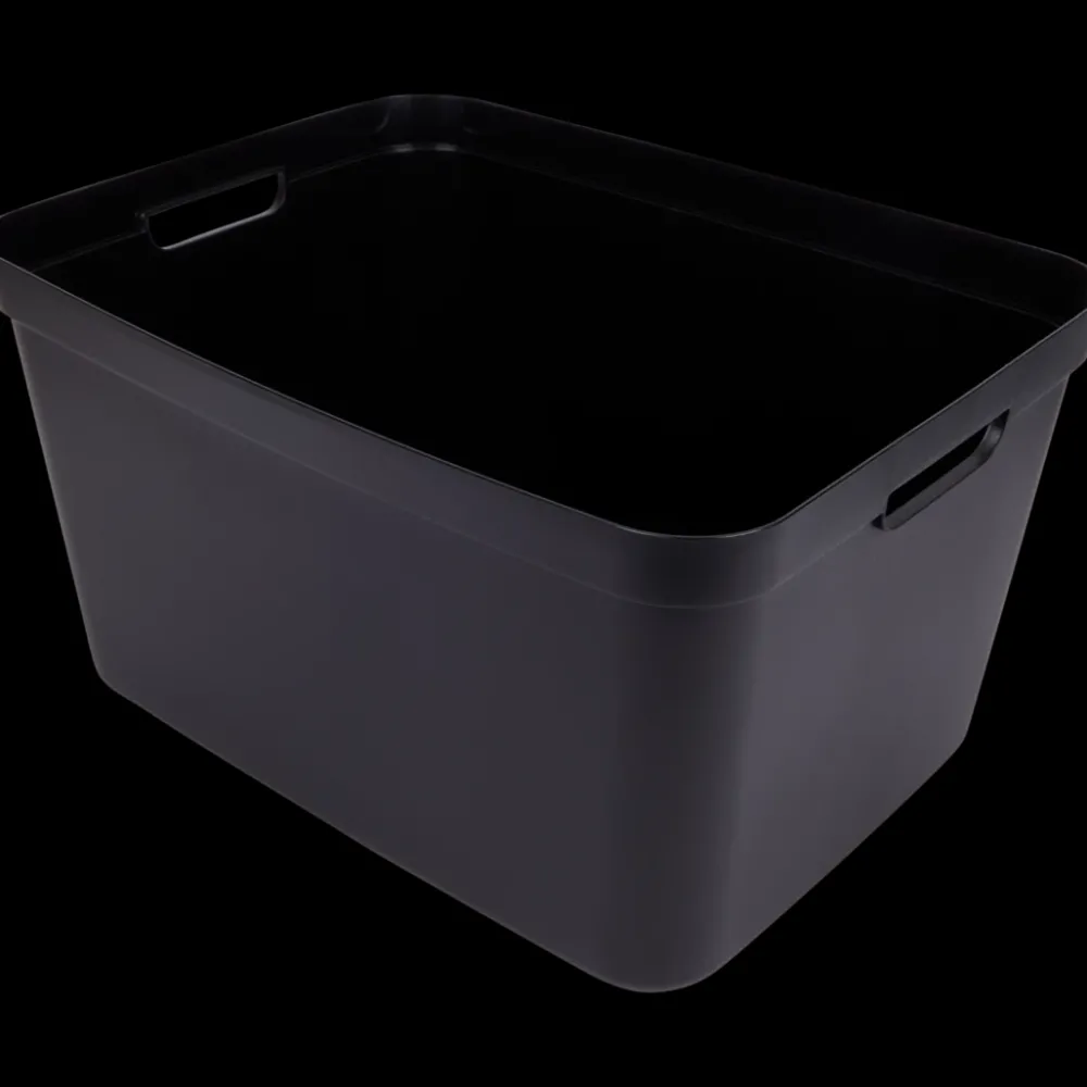 Accessoires Pour La Maison< Panier de rangement | Action FR