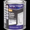 Tous Les Articles Bricolage|Peinture< Peinture murale blanche Spectrum 2 en 1 Masque-taches Blanc | Action FR