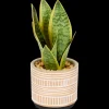 Tous Les Articles Habitat|Plantes Et Fleurs Artificielles< Sansevieria artificielle en pot The Hamptons Collections HOME | Action FR