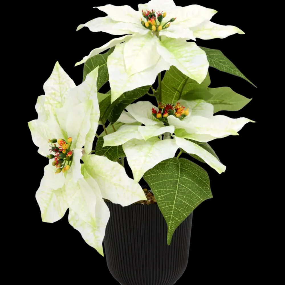 Tous Les Articles Habitat|Plantes Et Fleurs Artificielles< Étoile de Noël artificielle Home Accents | Action FR